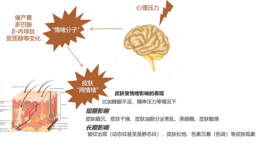 化妝品,評(píng)價(jià),皮膚情緒,護(hù)膚