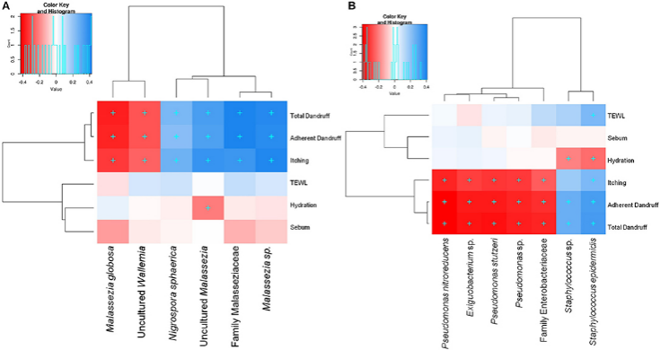 頭皮,健康,頭皮脫屑,頭皮皮脂