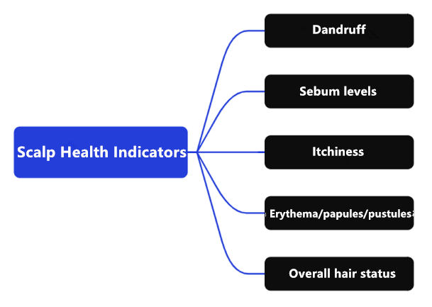 Scalp,health,Cosmetc,Efficacy,Evaluation