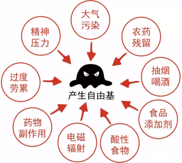 化妝品,抗氧化,抗衰,氧化還原反應,皮膚,ROS